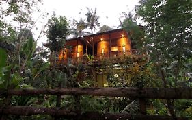 Jungle Joglo